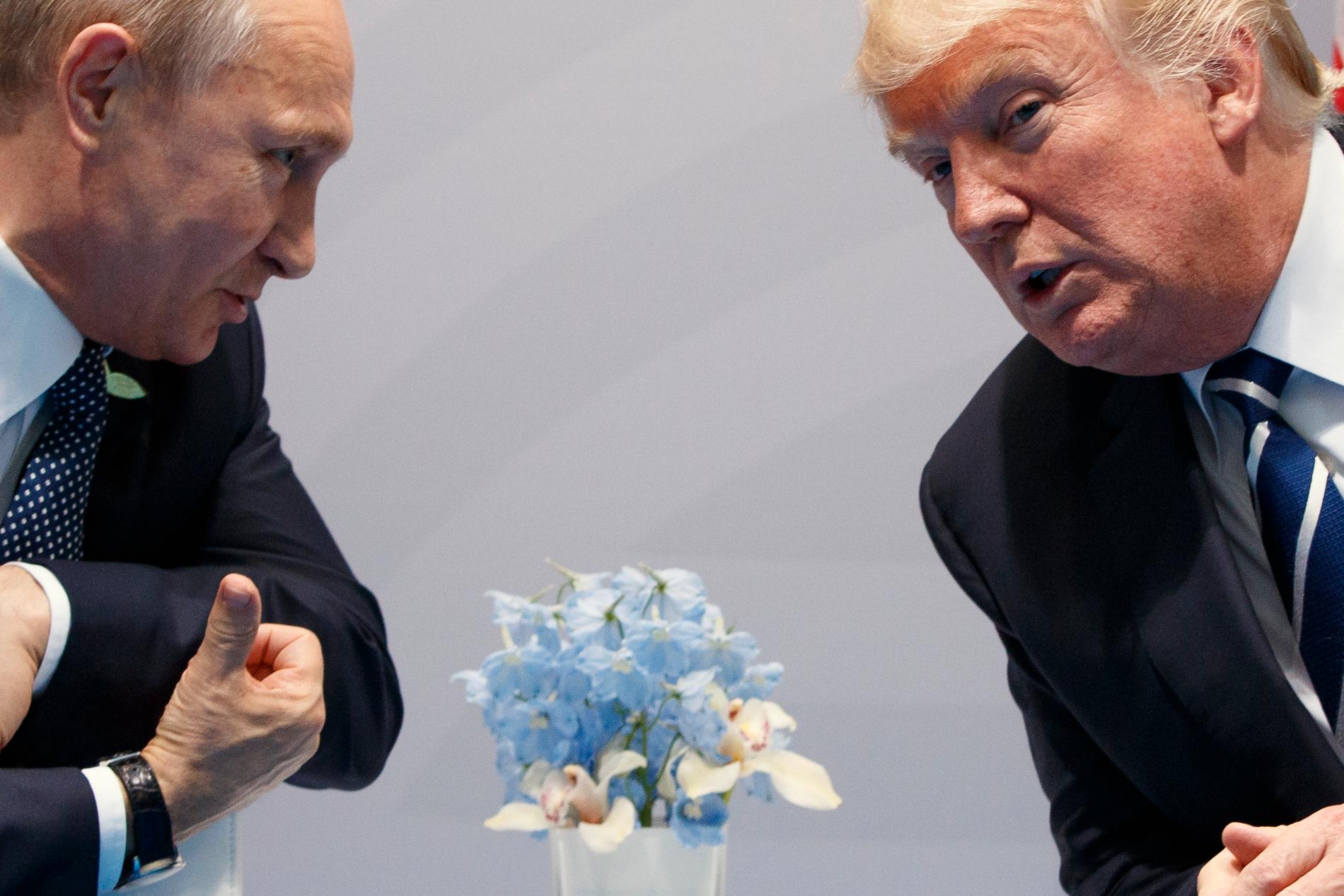Putin on Trump investigation: – Good for Russia