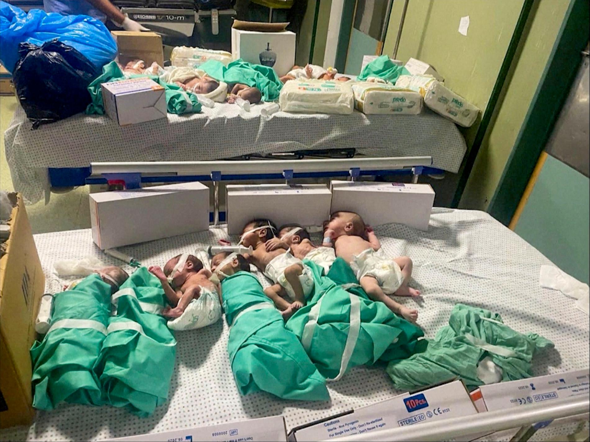 Premature: Premature babies were separated from incubators and ventilators after a power outage at Shifa Hospital in Gaza on November 12. 