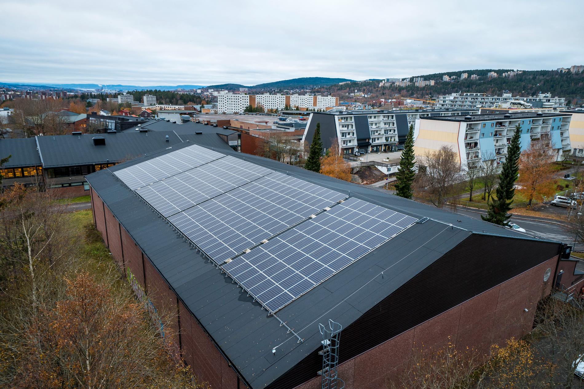 Krever Norgespris på solkraft