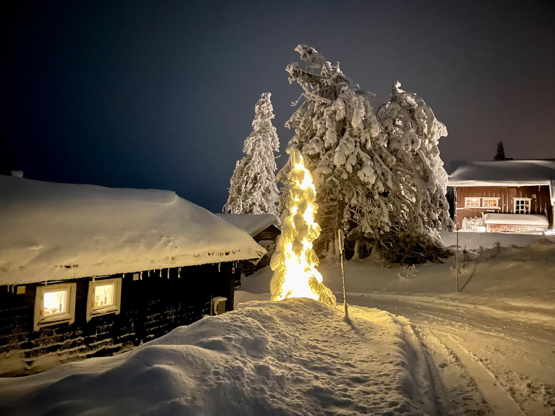 Christmas 2022 Snow Forecast: Will it Be a White Christmas Again in Røros and Beyond?