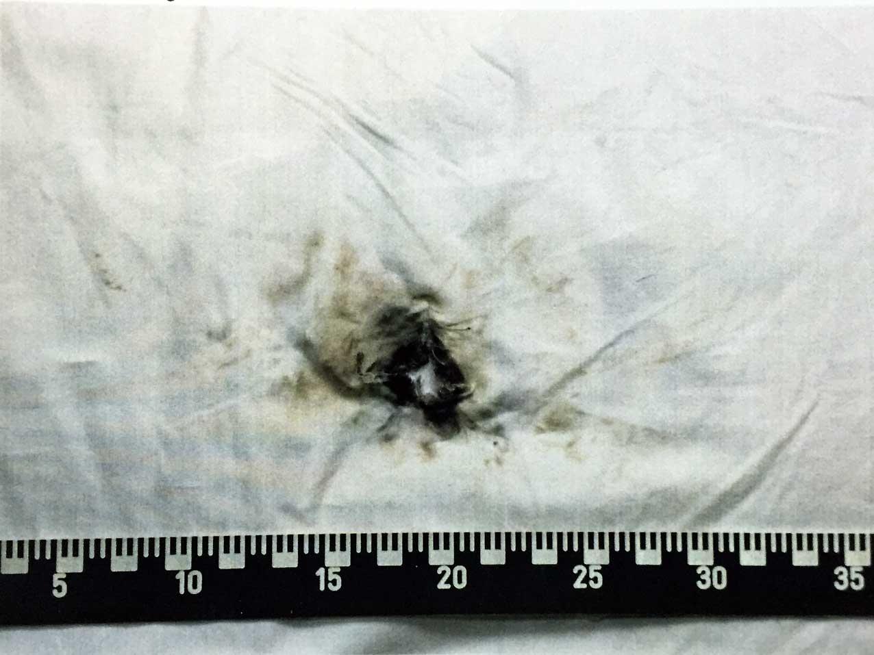 TEST SHOT: Was the pillow used as a silencer? There are clear marks where the first shot went into the pillow. Photo: POLICE.