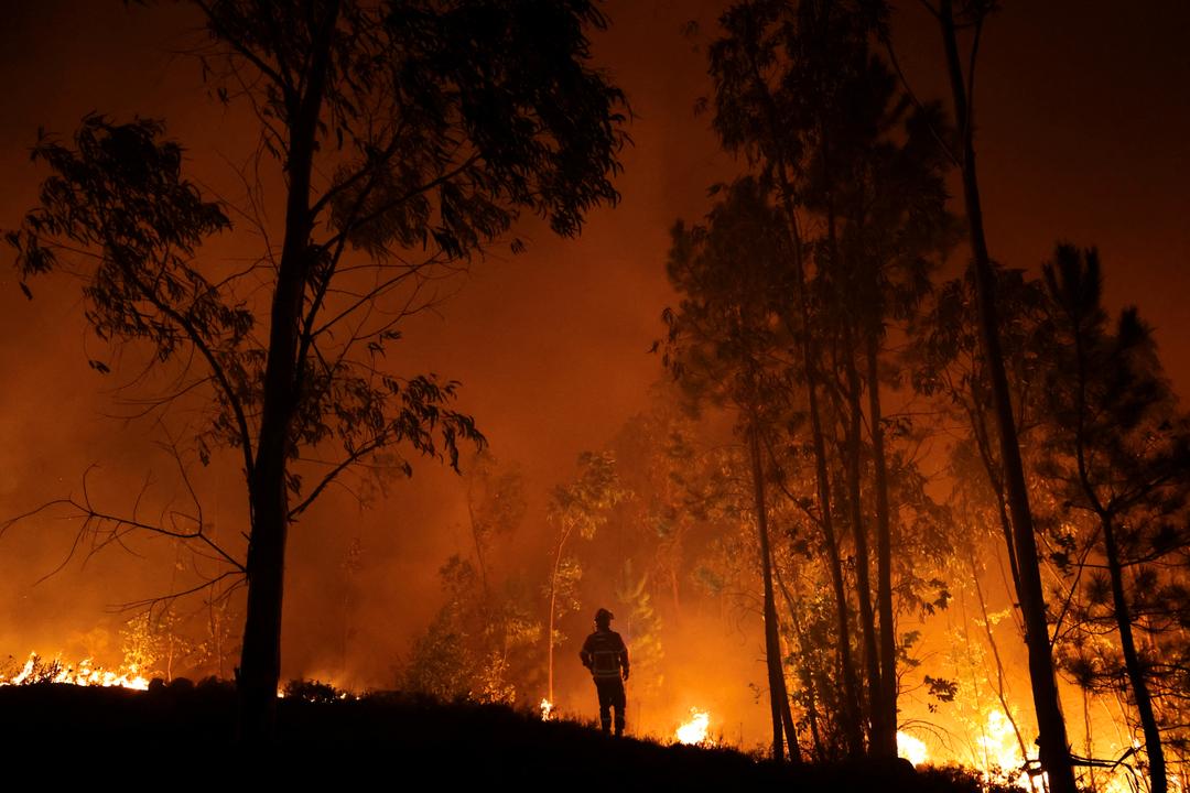 Portugal erklærer katastrofetilstand etter dødelige skogbranner