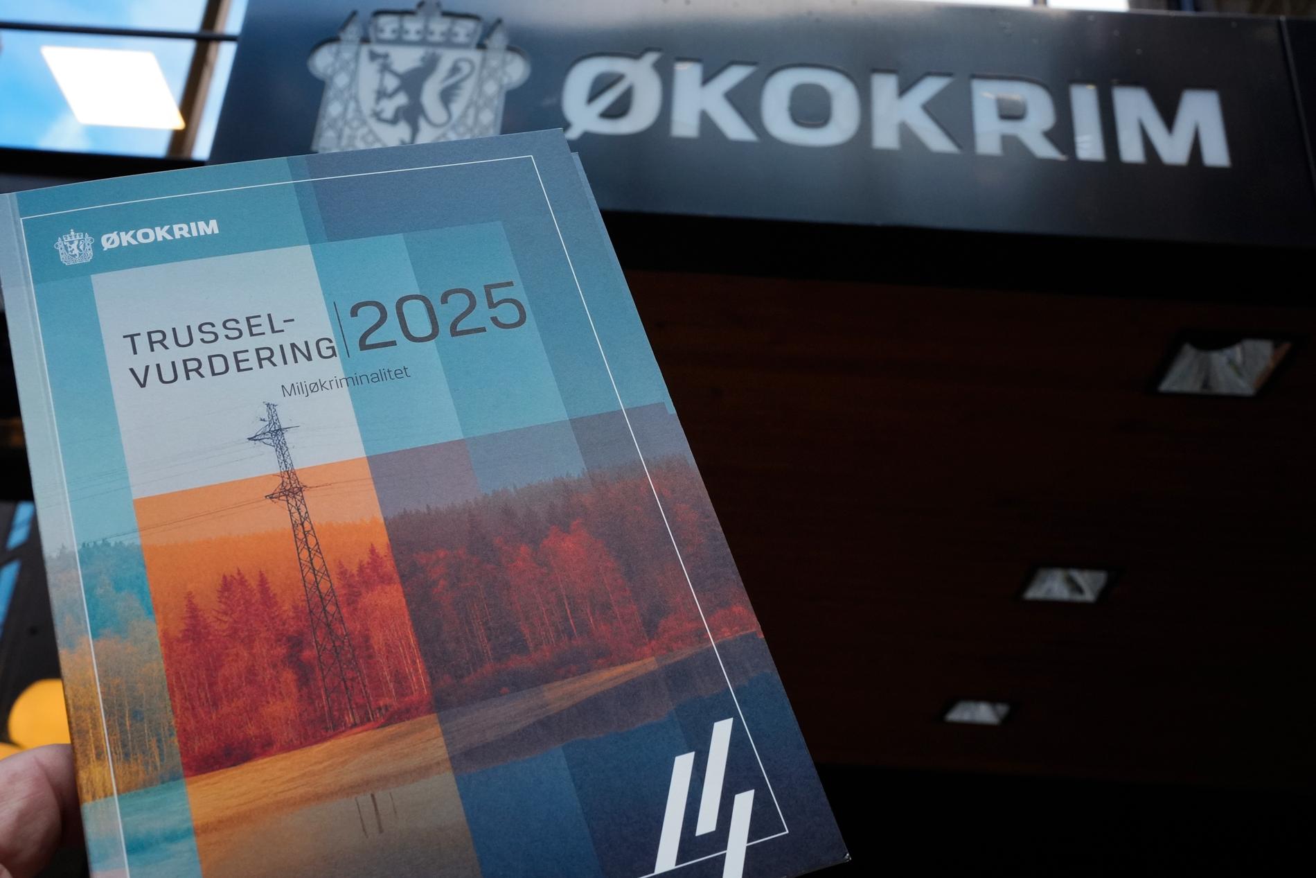 Miljøkrim i lakseoppdrett: – Mørketallene er nok store