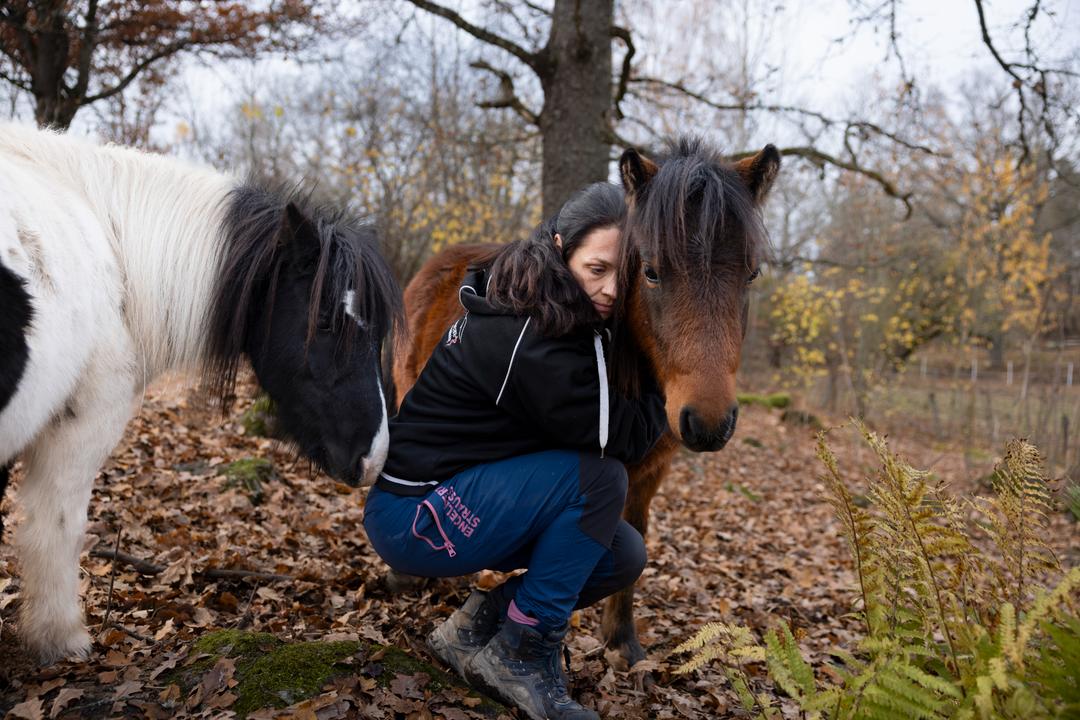 Aileens hester ble skutt av jeger: - Vi er i sjokk