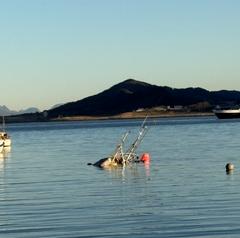 Båt gikk ned: – Mann i 60-årene plukket opp