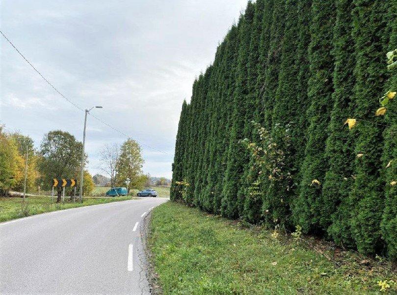 The owner is paid NOK 50,000 to remove this hedge