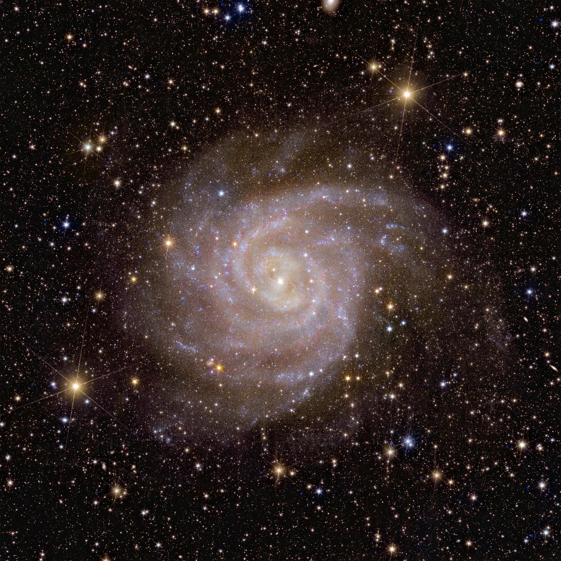 The image shows a galaxy called IC 342, taken by the European Euclid telescope in space. 