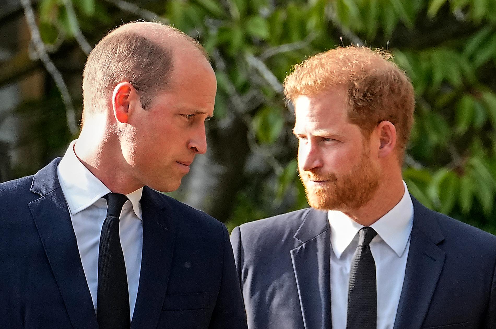 Prince Harry claims Prince William knocked him to the floor