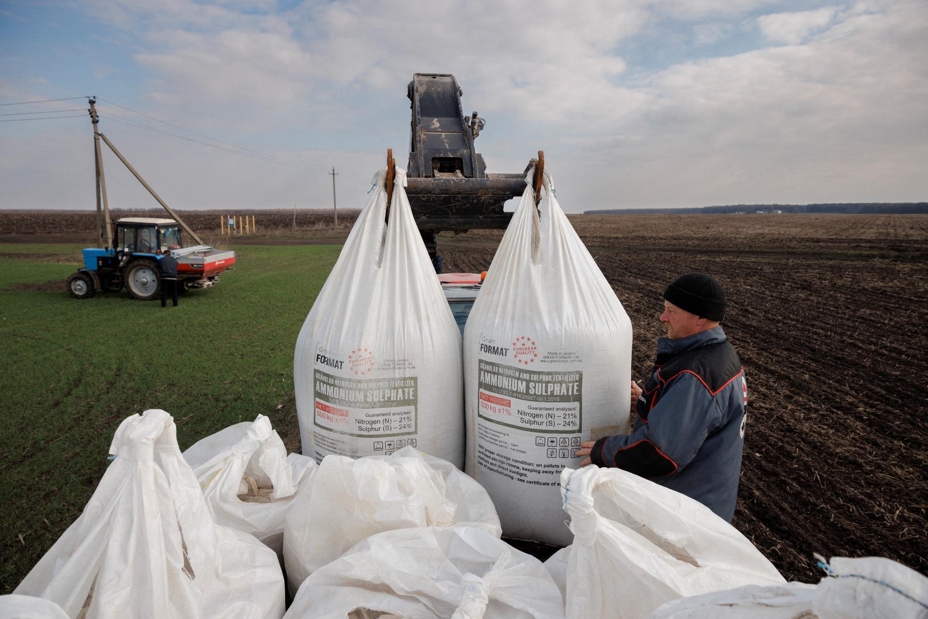 Some media use wrong figures about grain production in Ukraine – VG