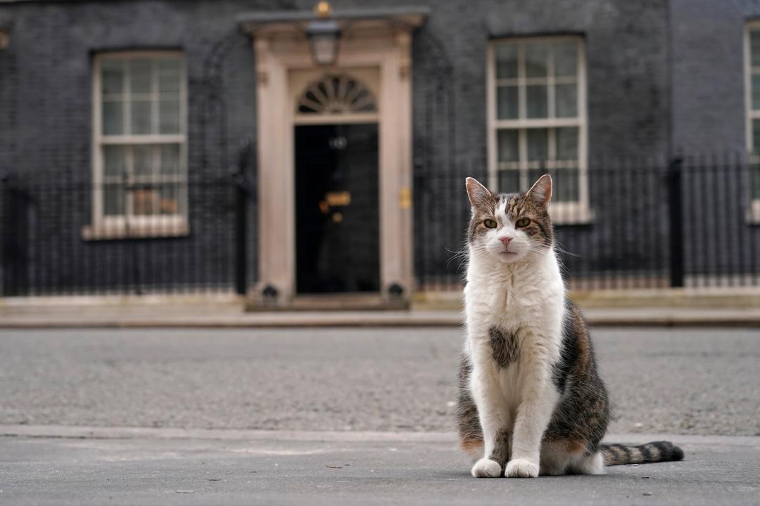 Katten Larry tar imot sin sjette britiske statsminister