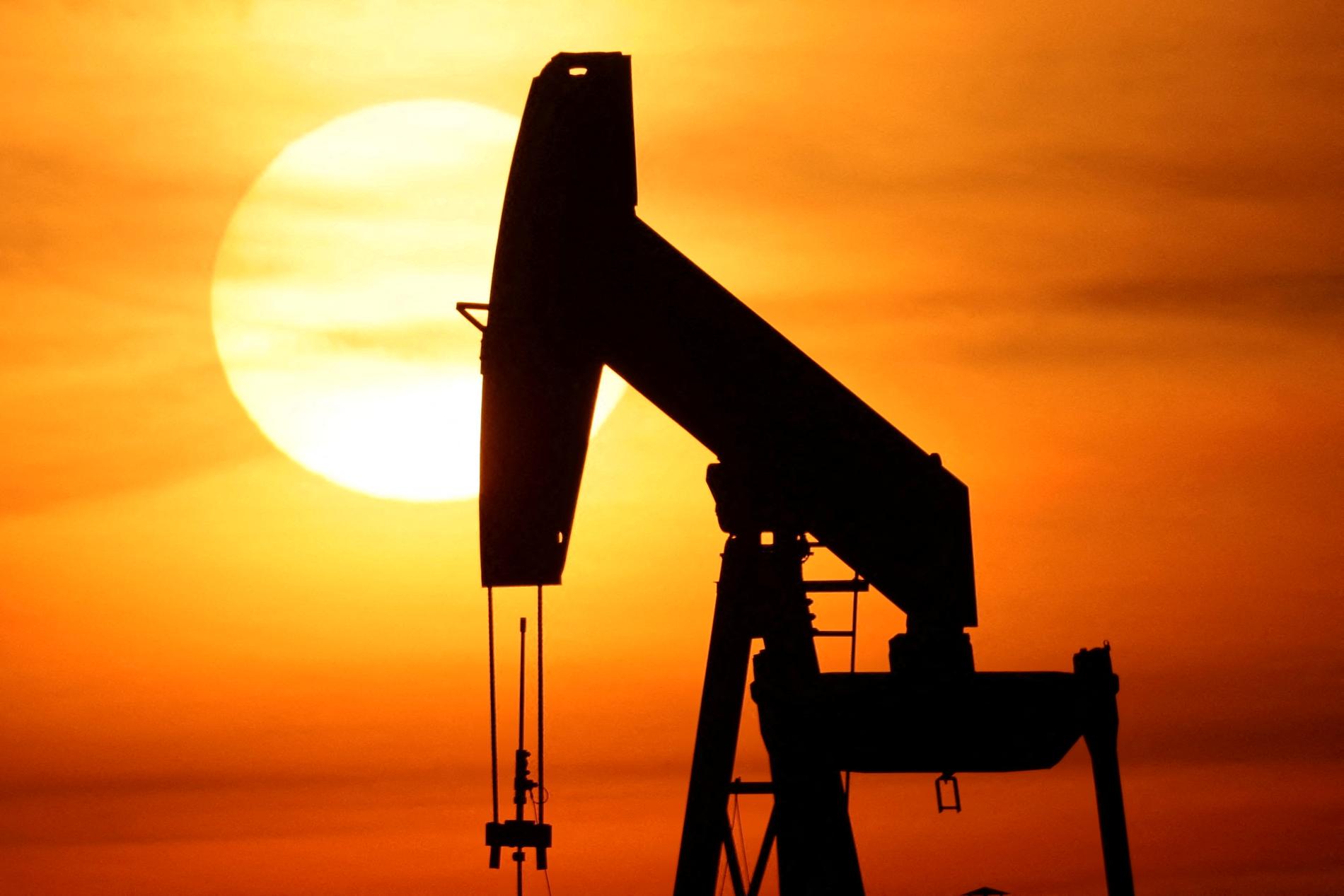 – 2024 is a fateful year for the oil market – E24