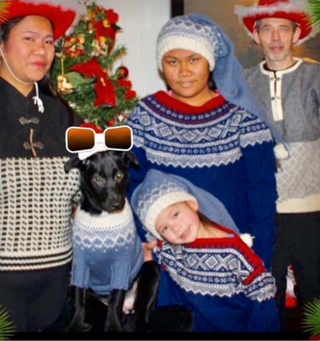 Before the clash: Here, Laika May takes center stage with her family on another occasion.  From left are Mary Joselle Rosaroso Baltomar Holm, Josela May and Ovind Holm.  Laika May and Hannah May in front of the dog.