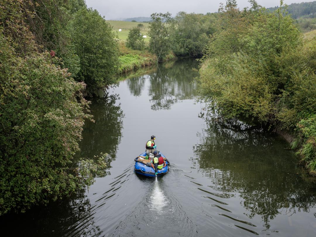 All fisk i elvene må dø for å redde laksen