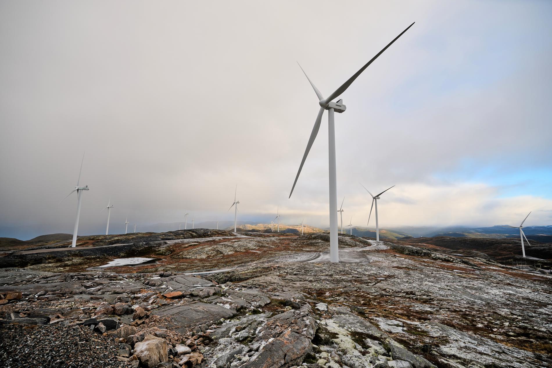 Ut mot vindkraftskatten: Blir avhengige av høye strømpriser