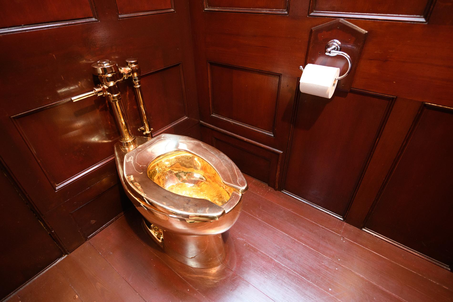 The Mysterious Disappearance of the $4.8 Million Gold Throne: Four Men Charged in the Blenheim Palace Toilet Heist