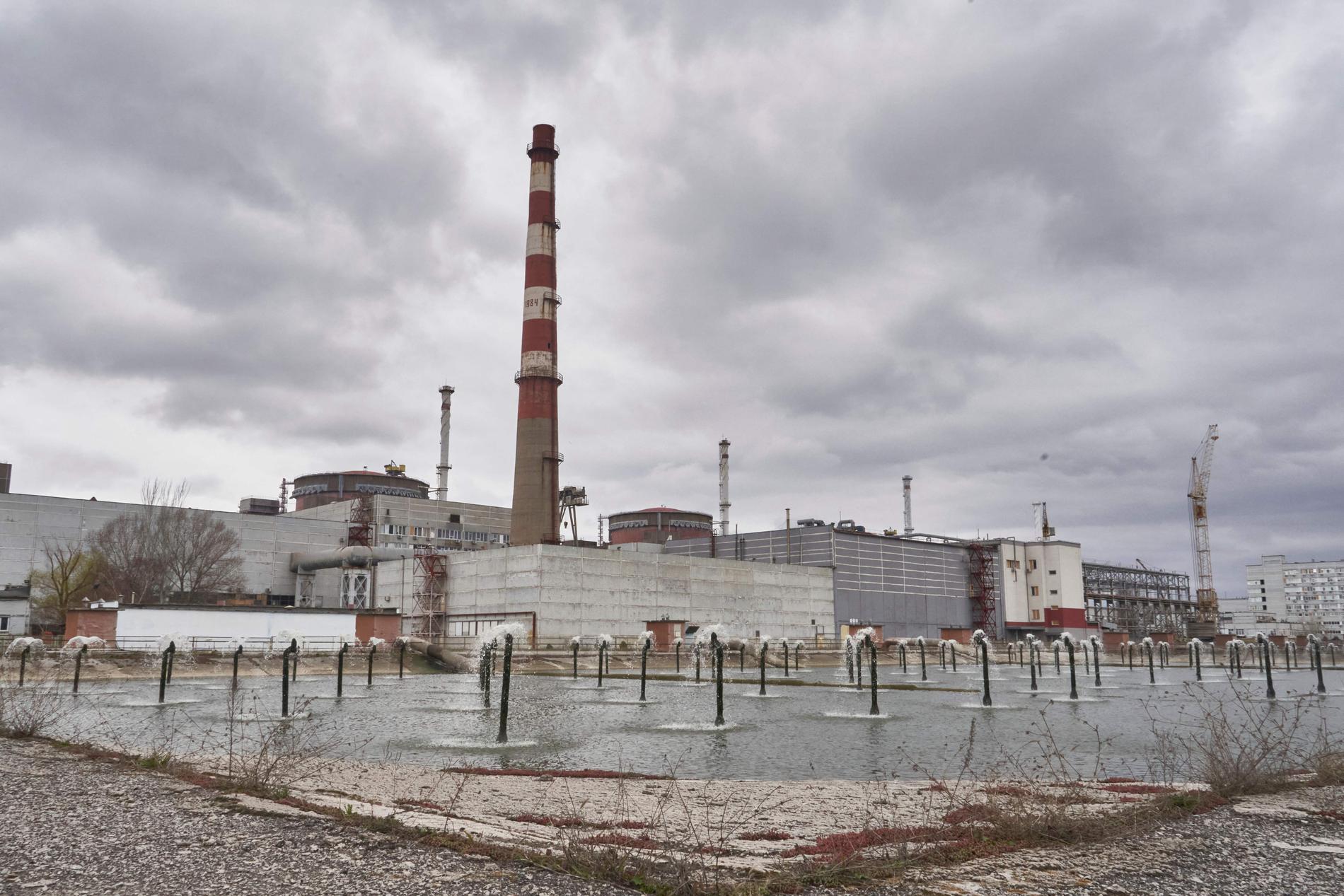 Head of the Nuclear Agency: I am very concerned about the Ukrainian nuclear power plant