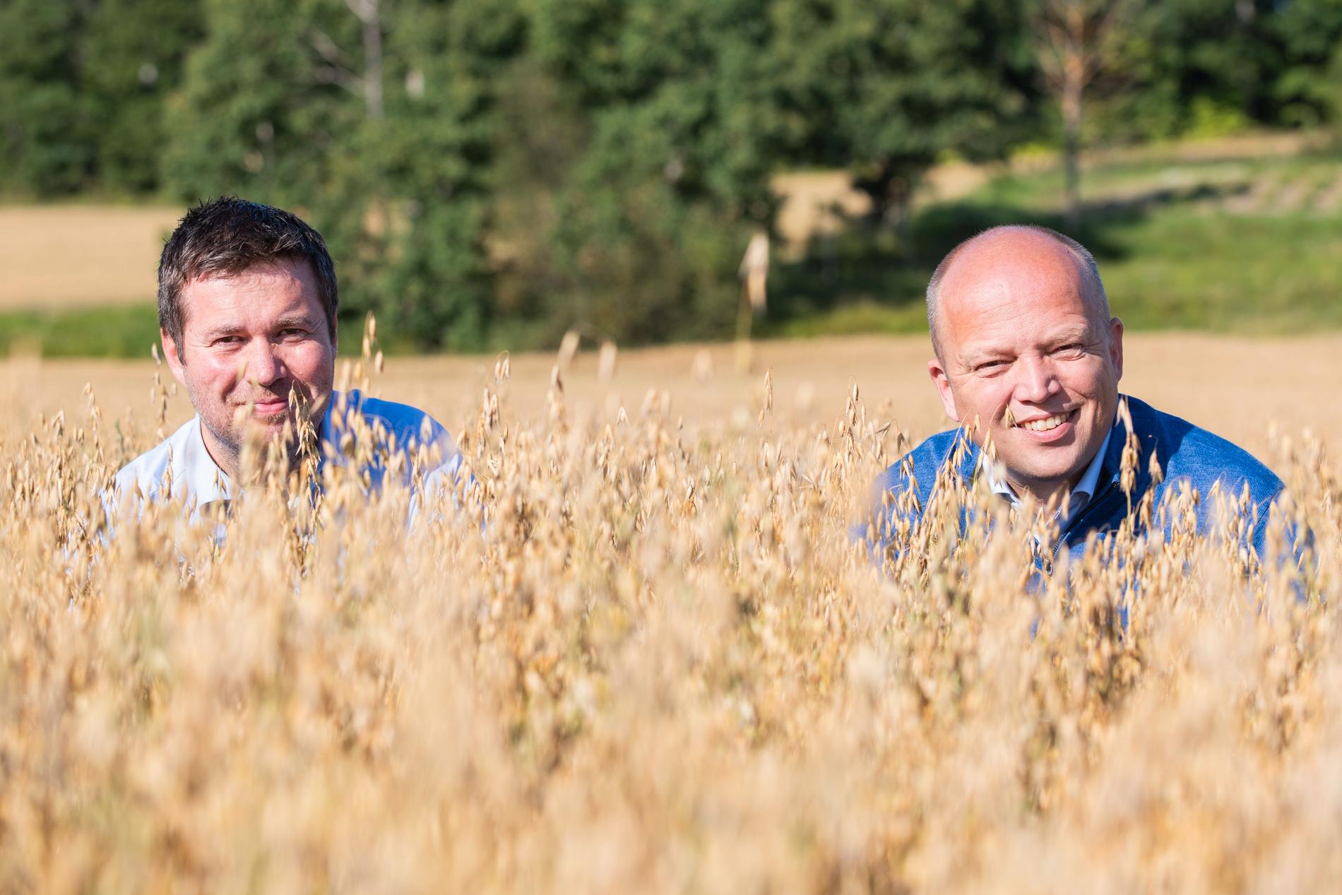 KORN-Kompiser: Agriculture Minister Pollestad and the Sp leader want to protect farmland - but according to the MDGs, the Sp often does not follow through domestically. 