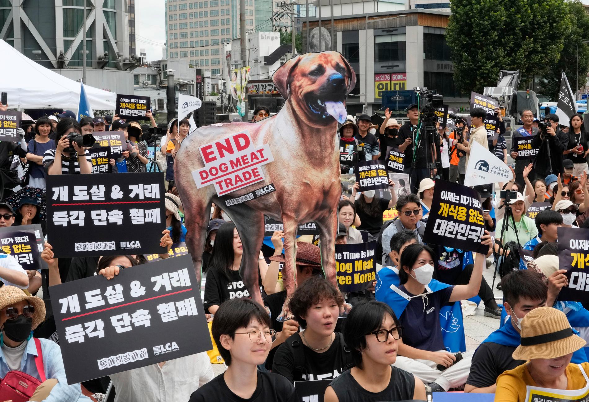 South Korea bans the dog meat industry