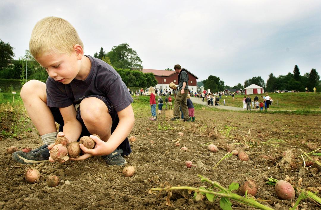 Nå kommer en mer praktisk skole