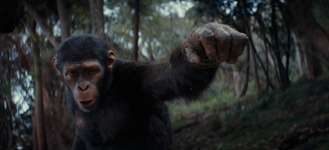 Kingdom of the Planet of the Apes Movie Review: CGI Spectacle with Lackluster Story