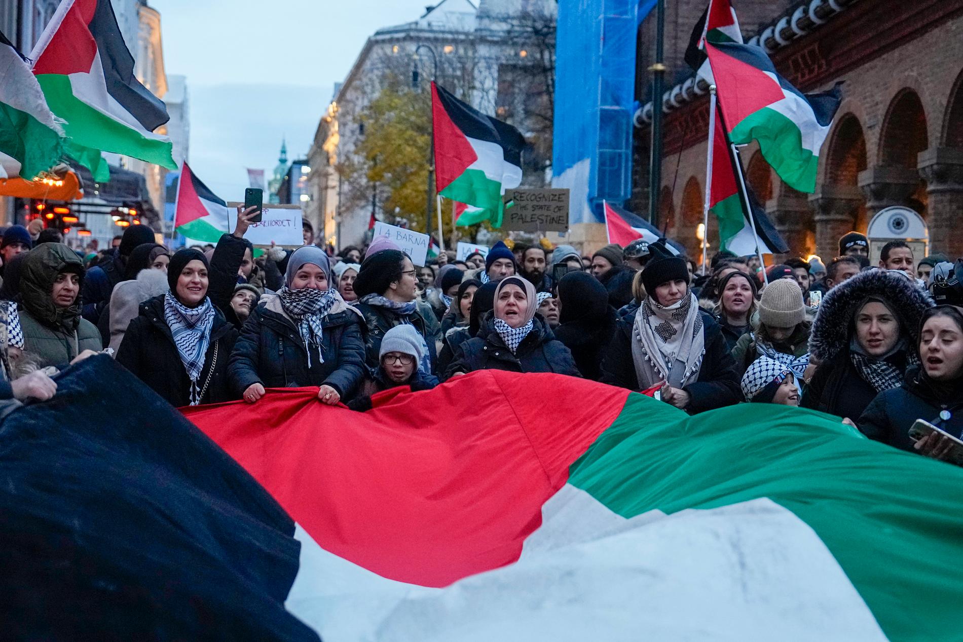 Palestine demo: As Norway's elected representatives are scheduled to vote on whether to recognize Palestine as a separate state, scores of people demonstrated for an independent Palestine on Tuesday.