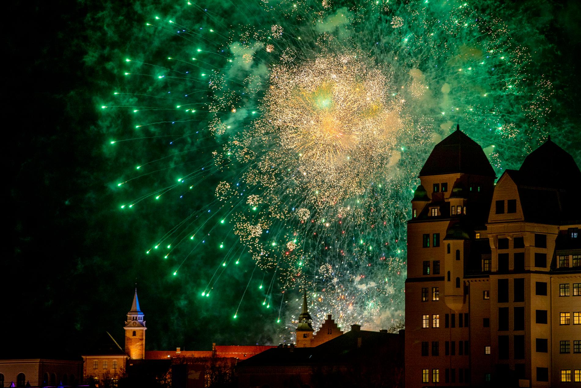 Oslo, the only big city to set off fireworks: – A sudden and unexpected sound comes upon the animals as hell