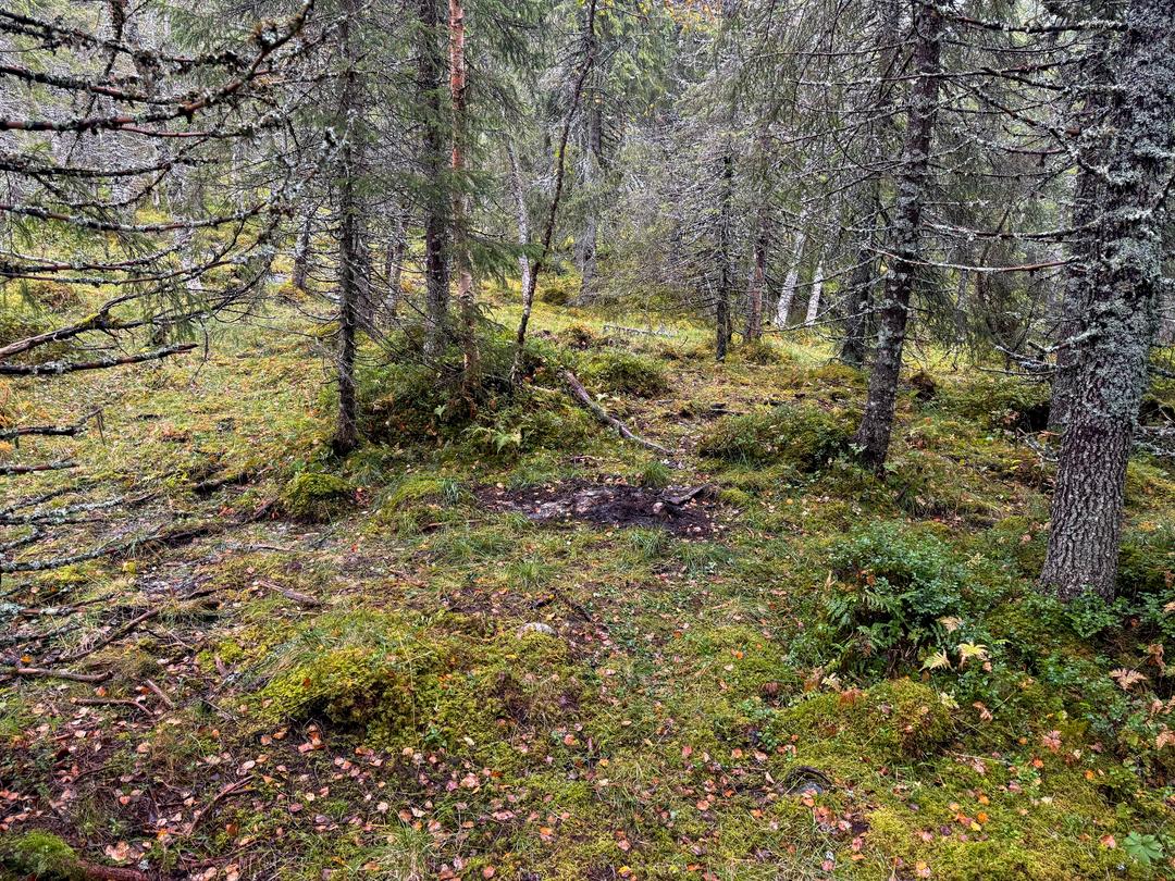 Gjennomsøker funnsted i Meråker på nytt med hundepatruljer