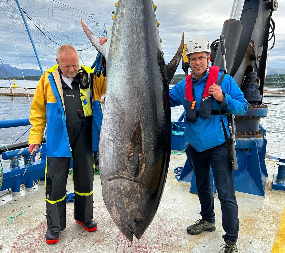 Fikk 300 kilo tung fisk på besøk