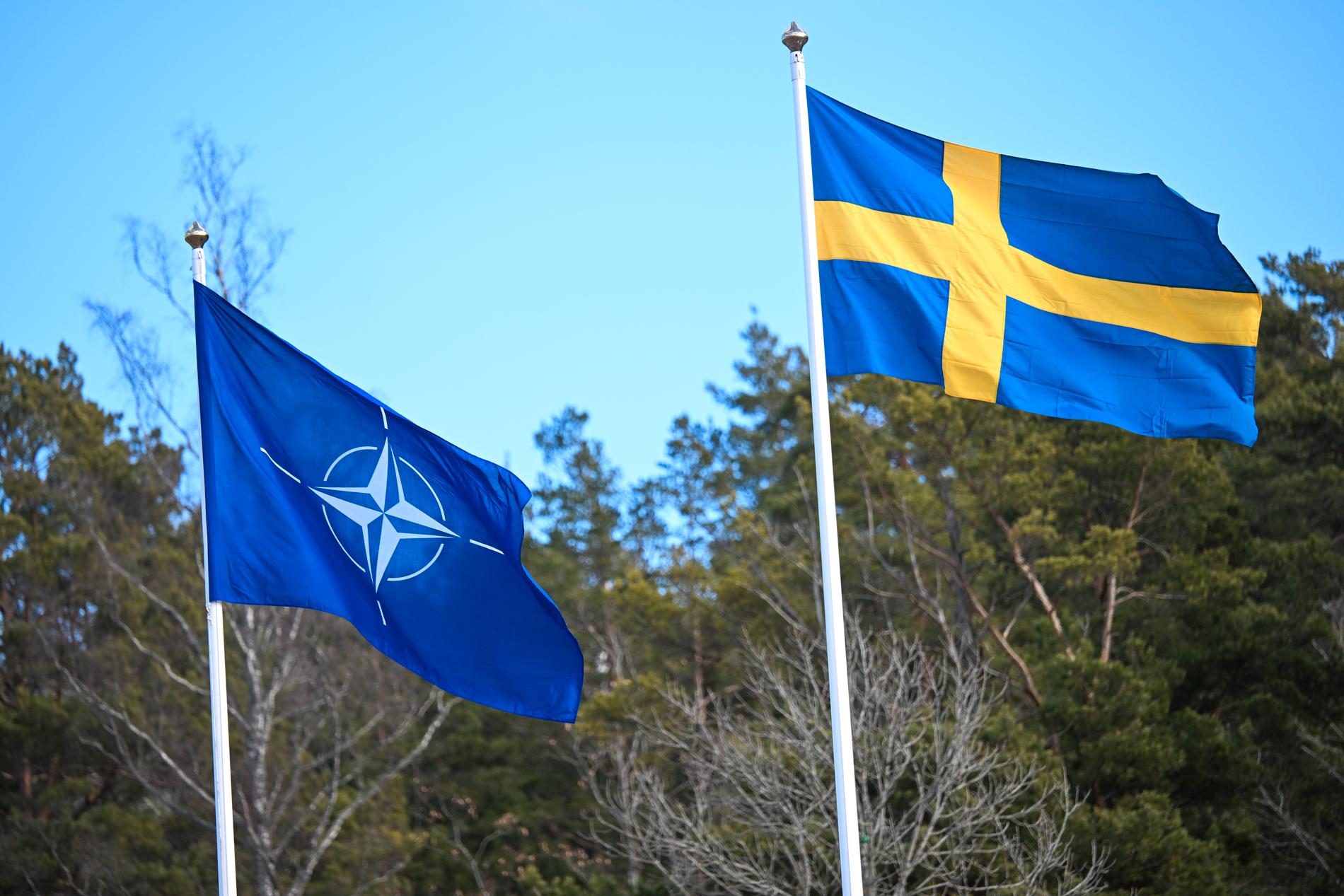 MEDLEM: 7. mars kunne Sveriges flagg heises. 