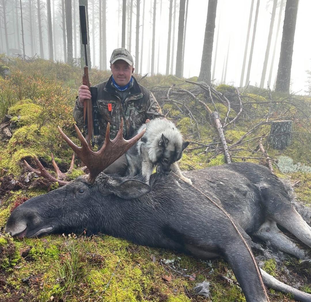 Skogens konge dukket opp takket være Banto (12): – Felte en tåre