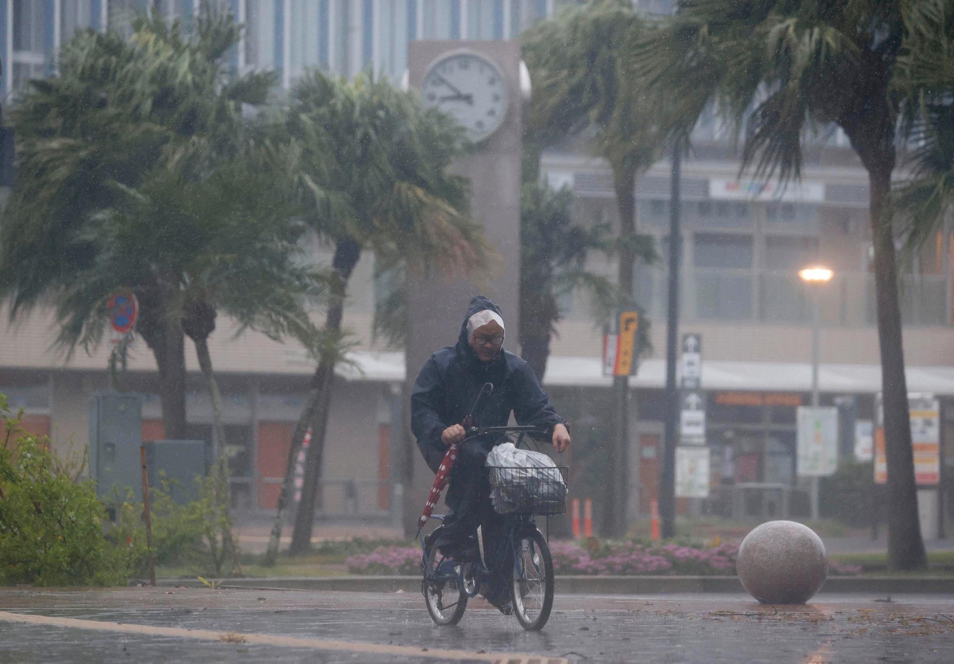 LLUVIA: Un ciclista se abre camino a través de la tormenta en Miyazaki, en el sur de Japón. Foto: 094531+0900 / AP