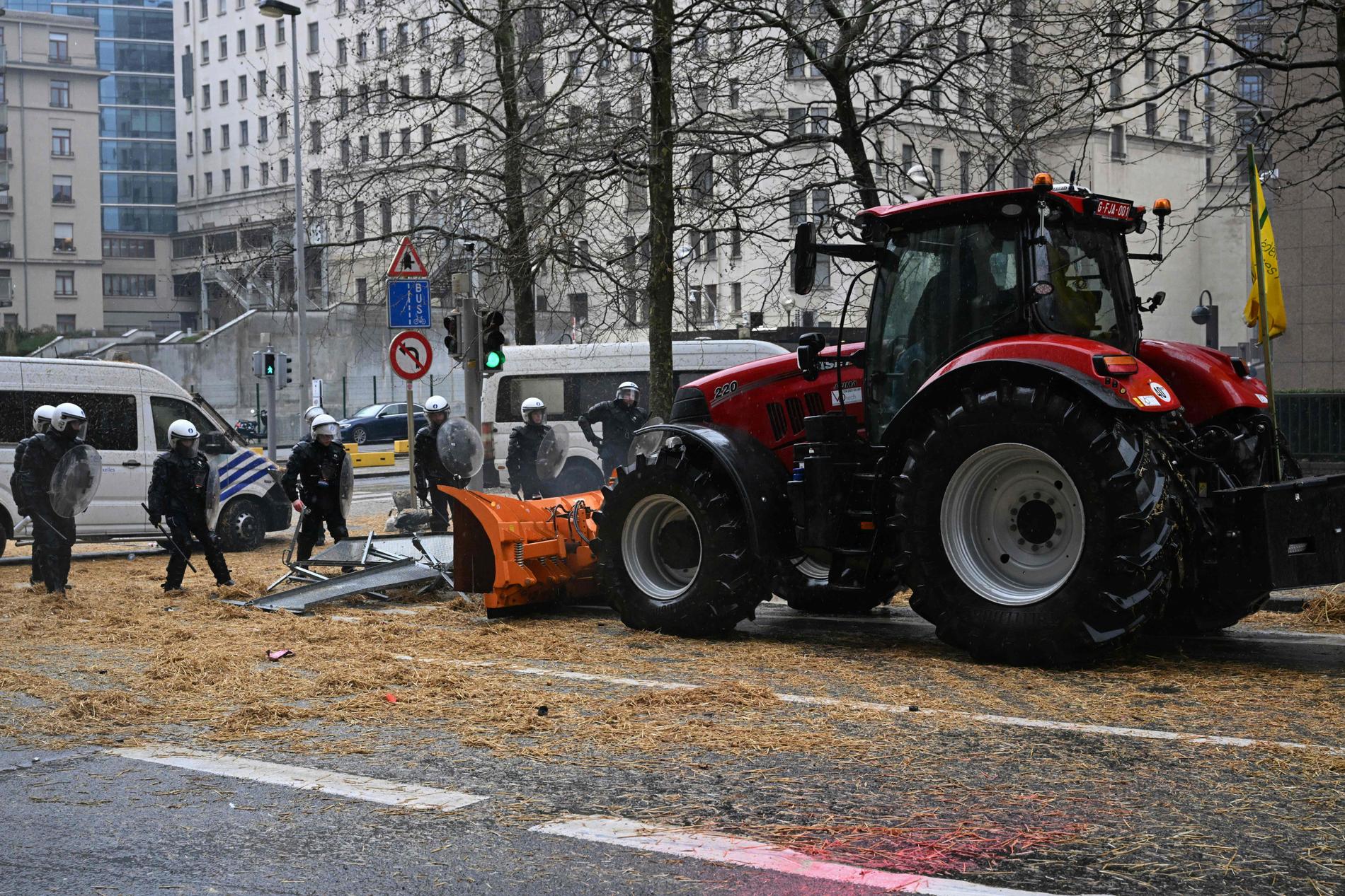 SINNE: Bilder fra en demonstrasjon fra bondeorganisasjonen Federation Unie de Groupements d'Eleveurs et d'Agriculteurs i Brussel februar 2024. 