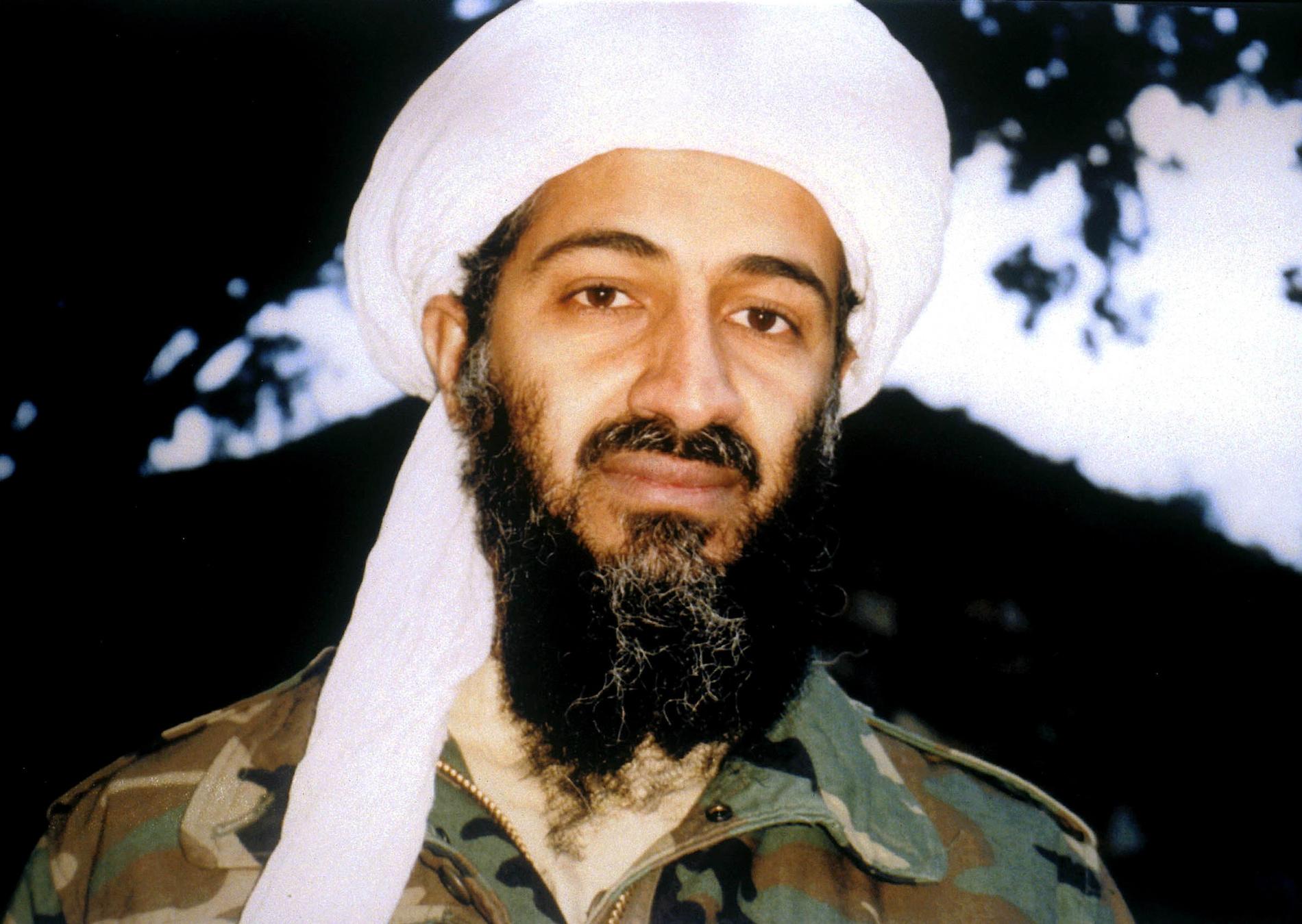 Bin Laden’s message removed after the TikTok pandemic