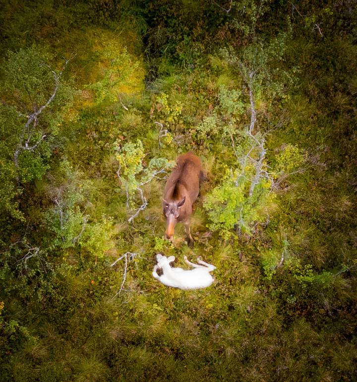 — Comme trouver un trésor