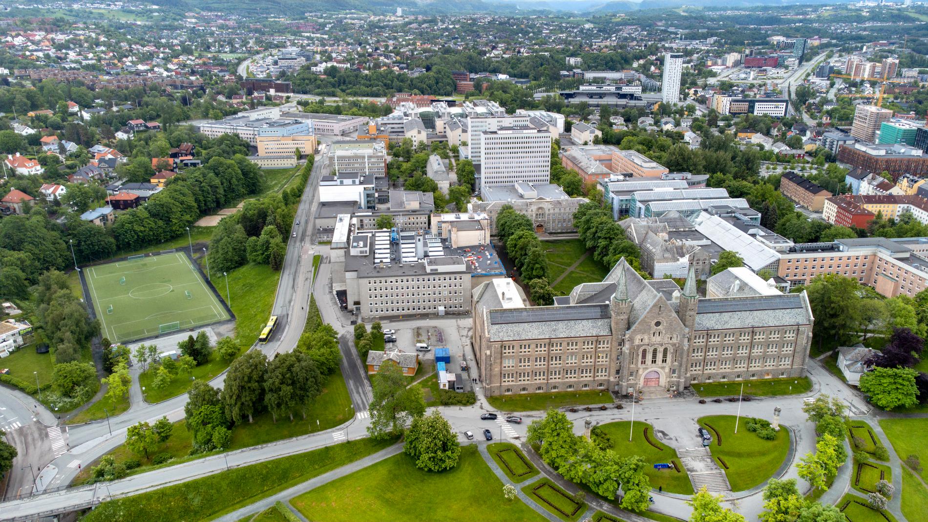 NTNU will receive gender points for eight new studies