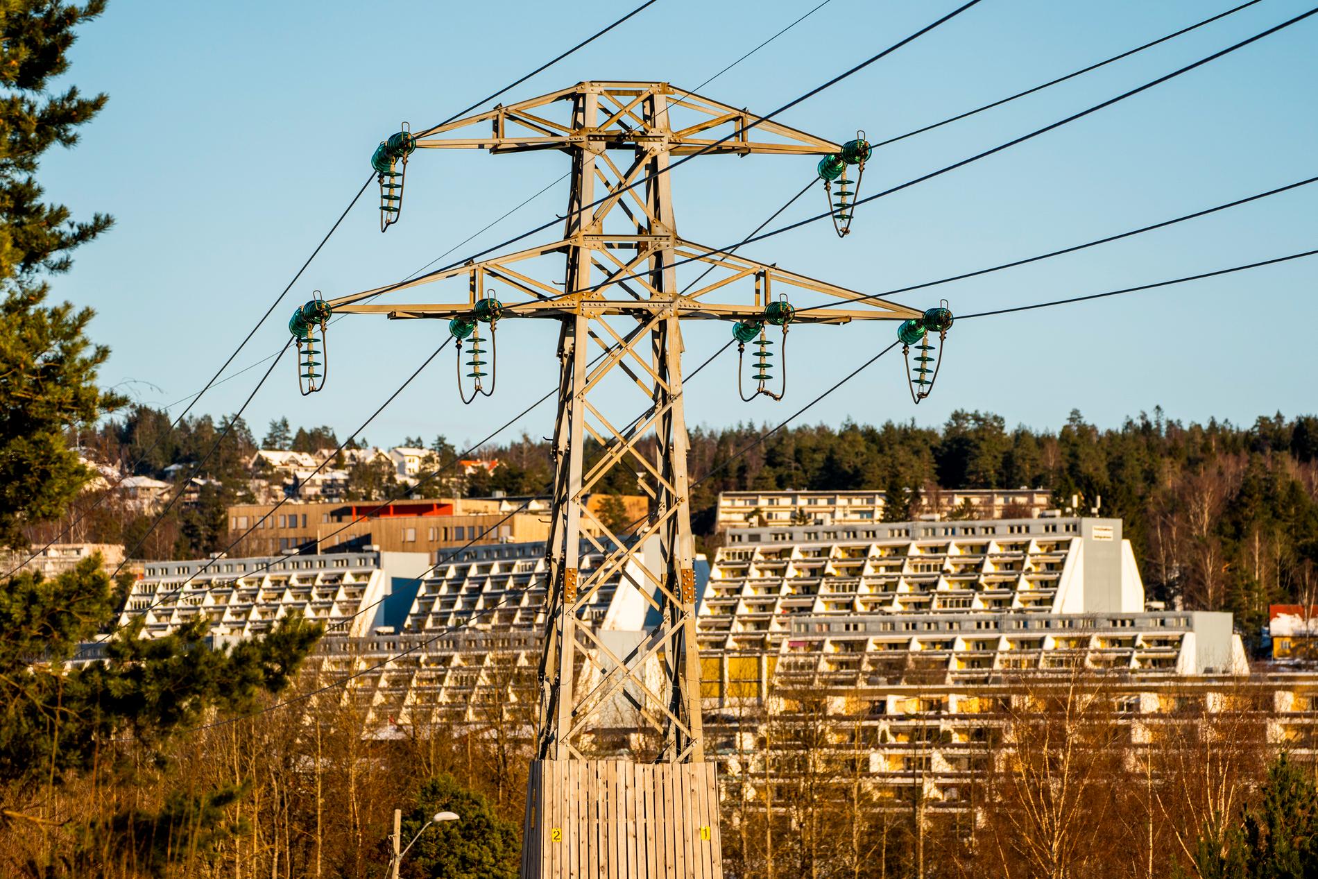 334.000 bestilte Norgespris på én dag