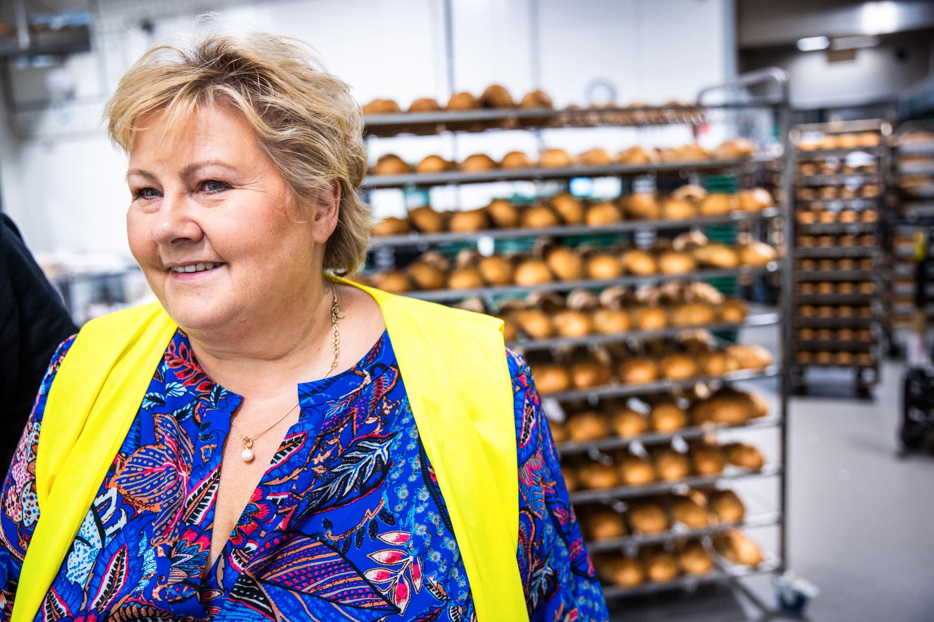 Erna Solberg proposes lowering customs protection to lower food prices, but faces opposition