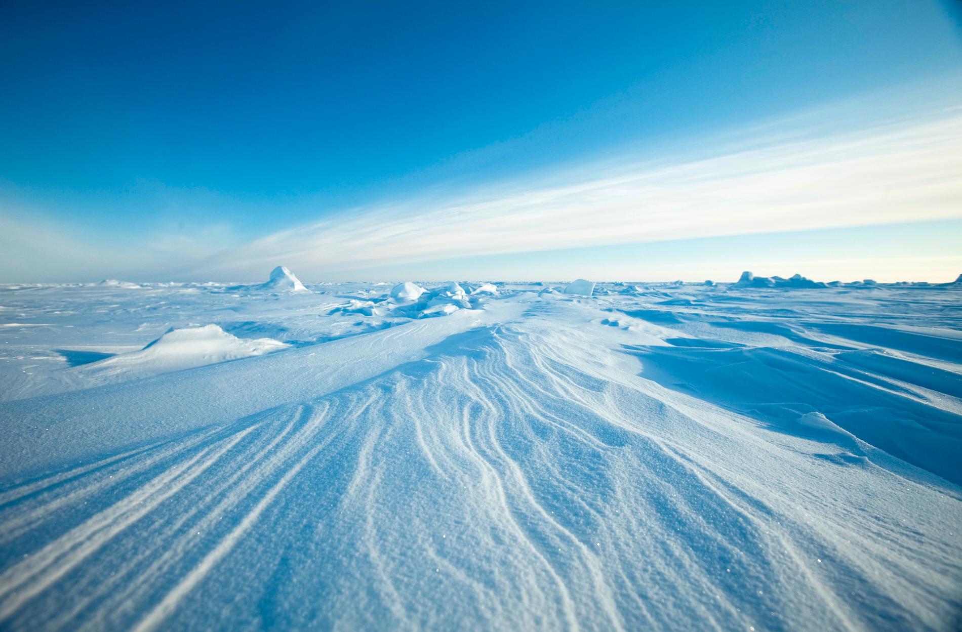 Bilder från arktis