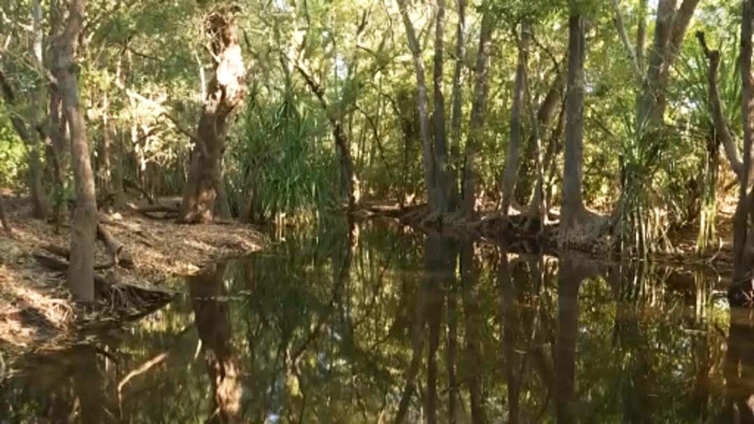 Crocodile shot in Australia after killing bathing girl