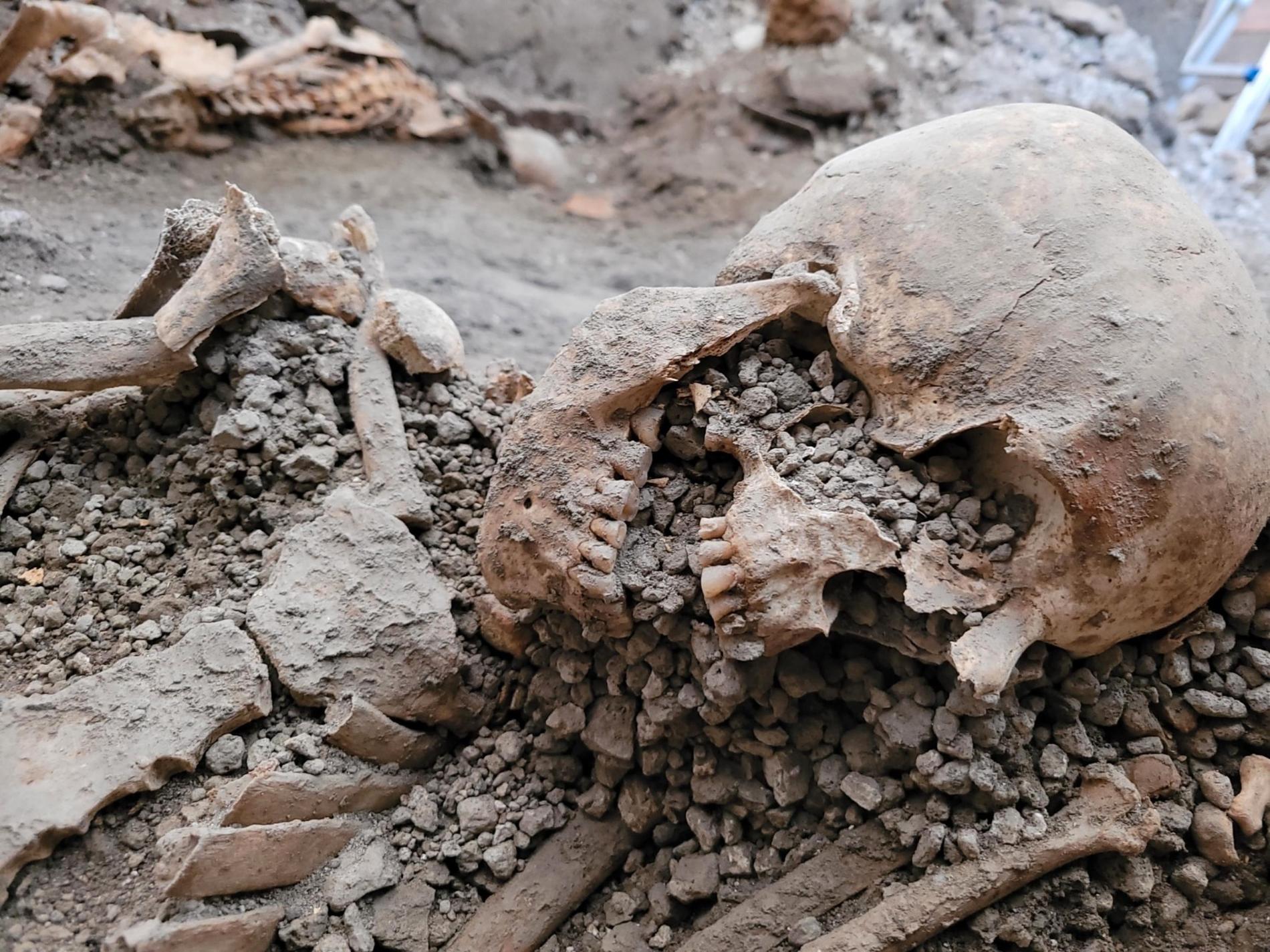 Archaeological discovery: New skeletons discovered in Pompeii
