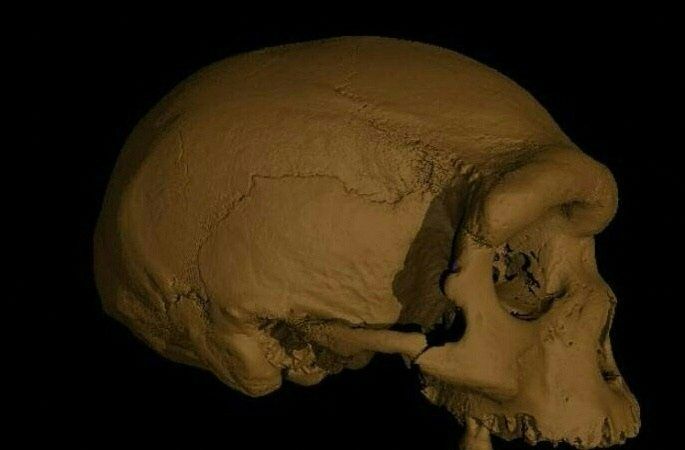Photo of Objav obrovskej lebky v Číne – vedci „Dragon Man“ doposiaľ neznámej ľudskej rasy – V.G.