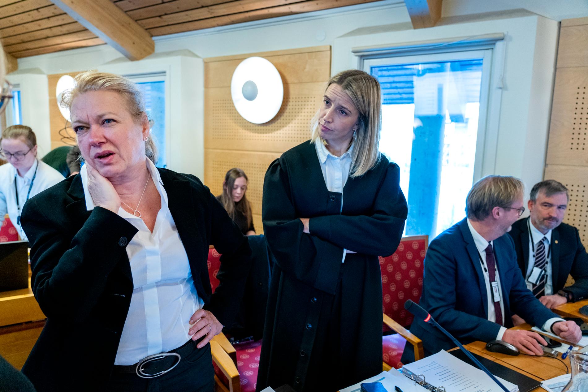 Prosecutor: Marianne Djobsland (TV) and Martha Stomner Semstad.