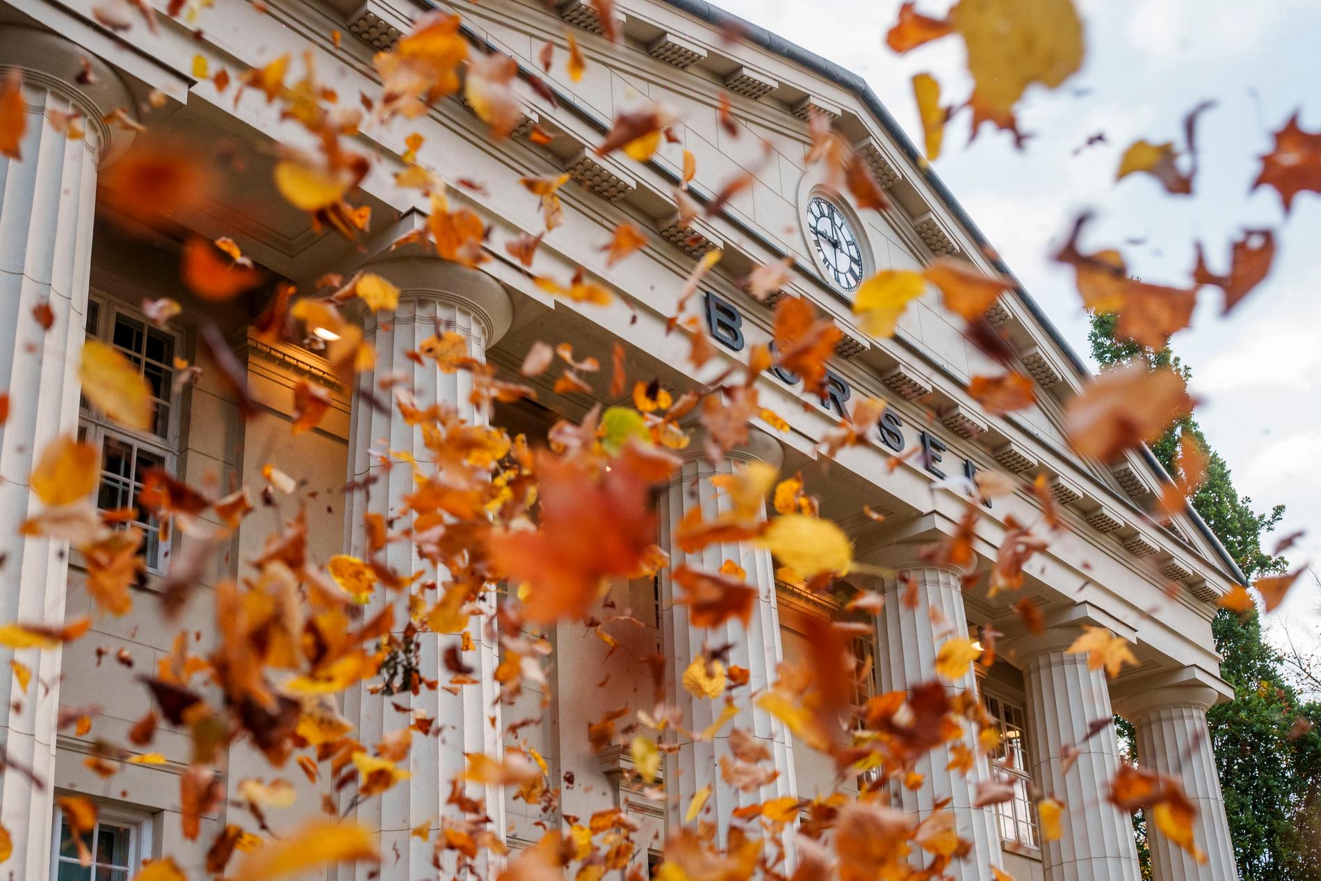 Storinvestorens gulloppskrift: Slik finner de aksjevinnerne